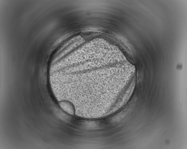 X0000101110349200807241141