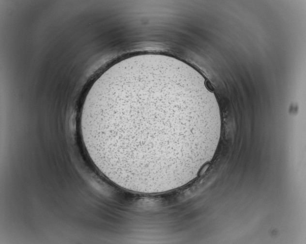 X0000101110350200807241141
