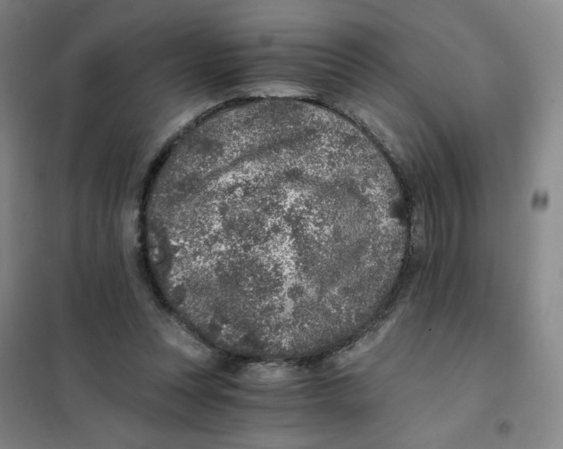 X0000101110351200807241141