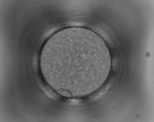 X0000101110352200807241141