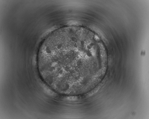 X0000101110353200807241141