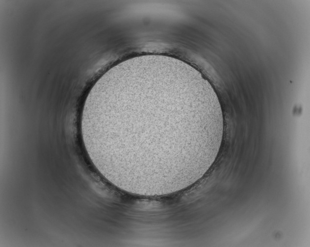 X0000101110354200807241141