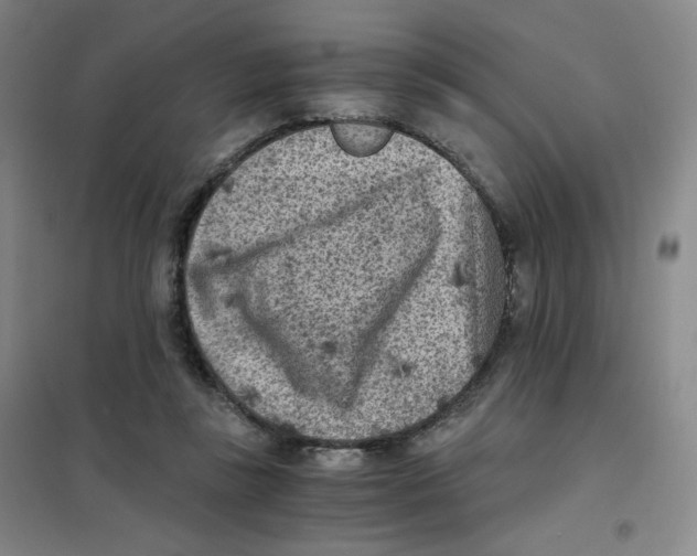 X0000101110355200807241141