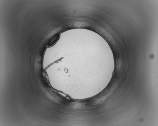 X0000101110356200807241141