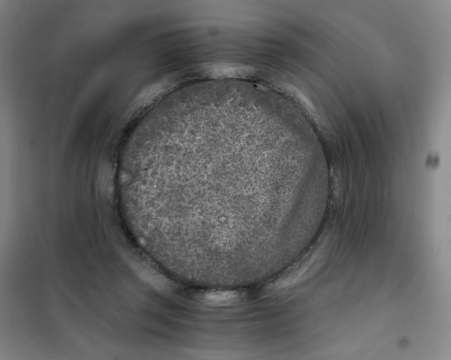 X0000101110357200807241141