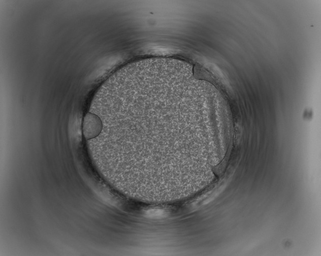 X0000101110358200807241141