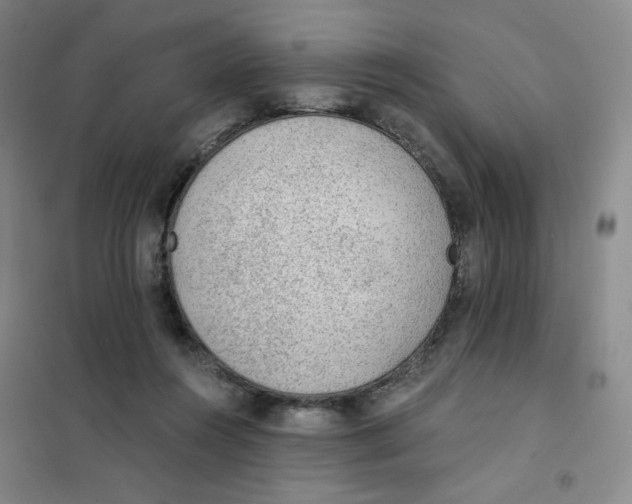 X0000101110360200807241141