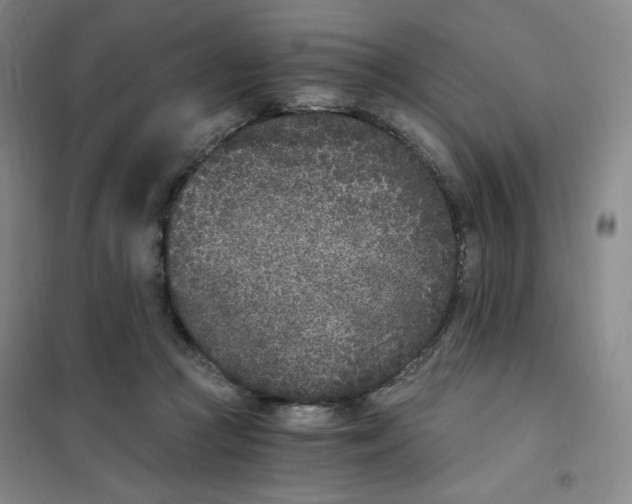 X0000101110361200807241141