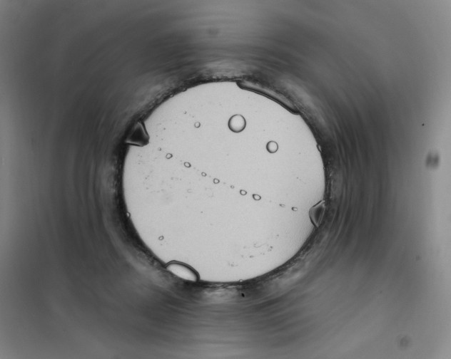 X0000101110362200807241141