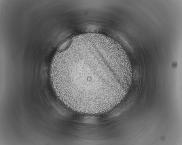 X0000101110363200807241141