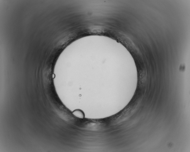 X0000101110364200807241141