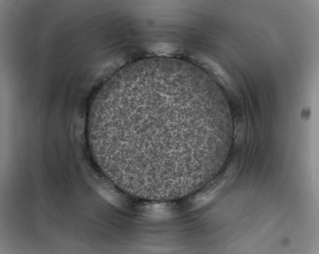X0000101110365200807241141