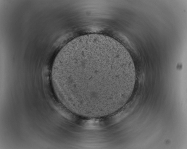 X0000101110366200807241141