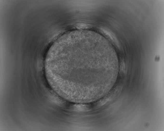 X0000101110367200807241141