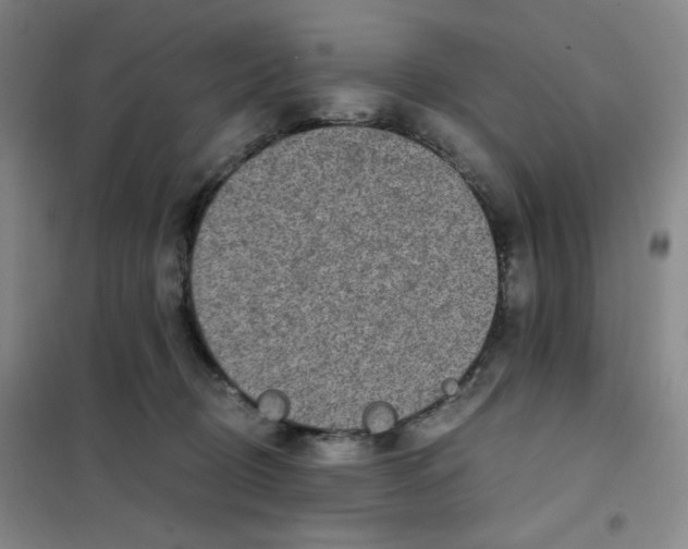 X0000101110370200807241141