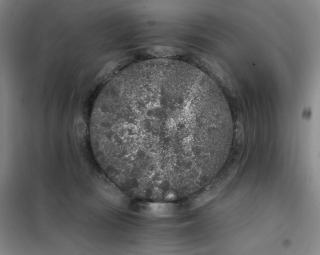 X0000101110371200807241141