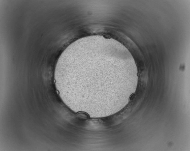 X0000101110372200807241141
