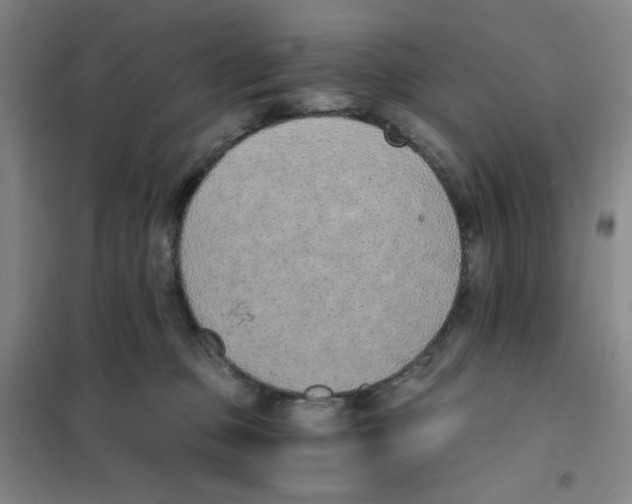 X0000101110373200807241141