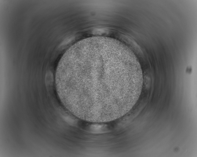 X0000101110375200807241141