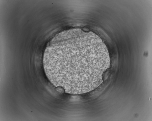 X0000101110376200807241141