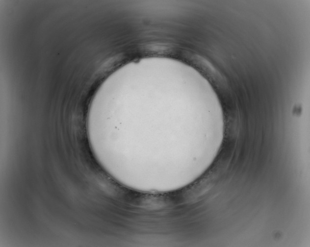 X0000101110377200807241141