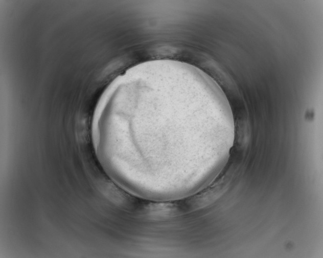 X0000101110378200807241141