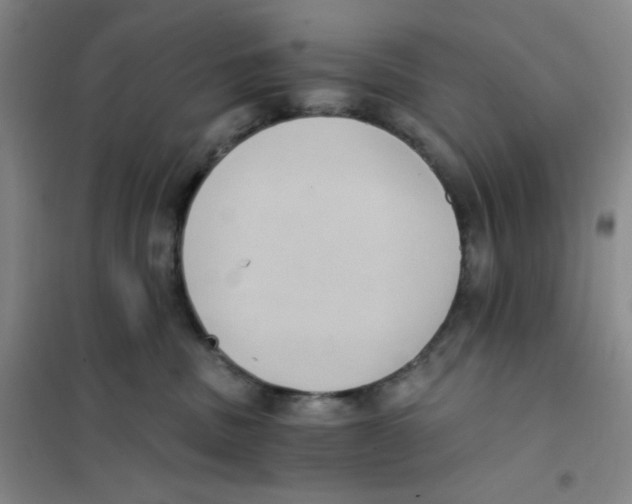 X0000101110379200807241141