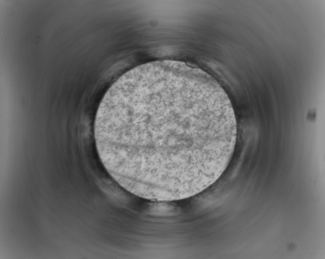X0000101110380200807241141