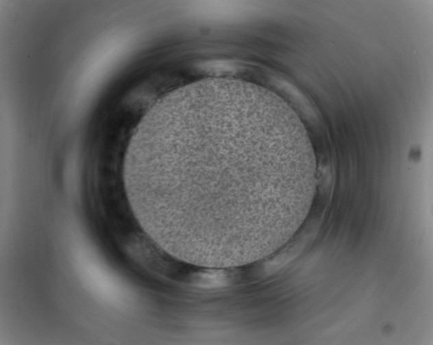 X0000101110381200807241141