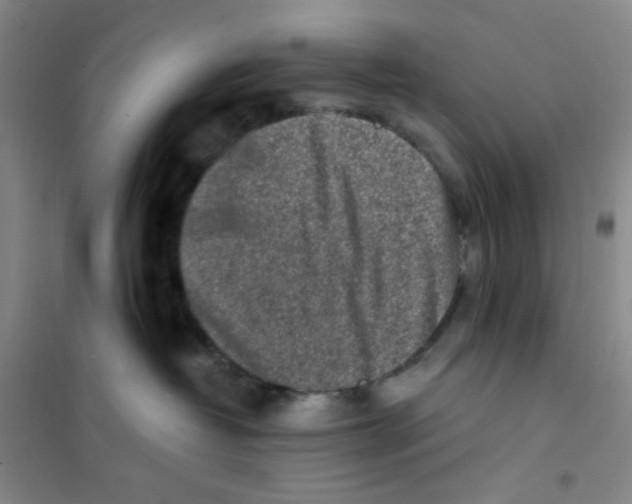X0000101110382200807241141