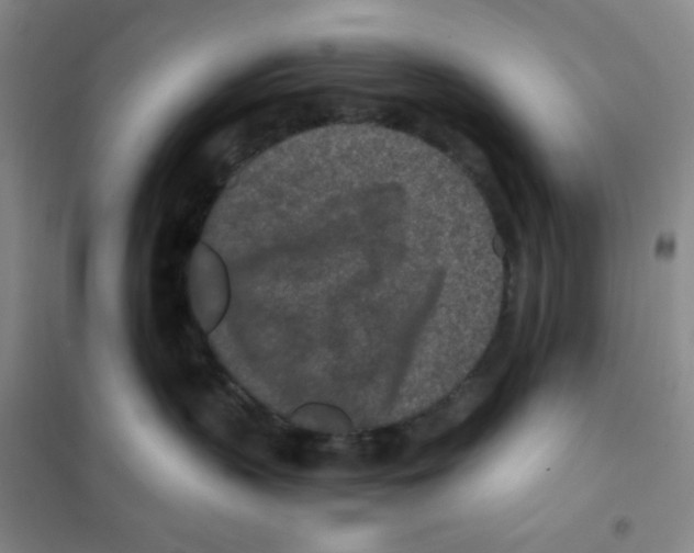 X0000101110383200807241141