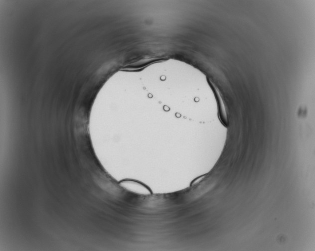 X0000101110384200807241141