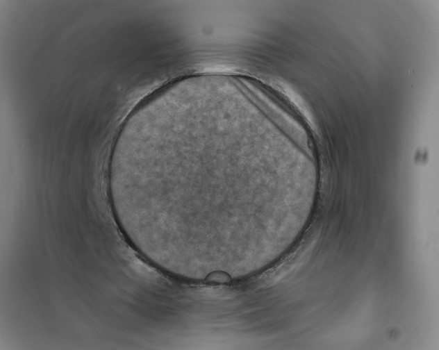 X0000101110385200807241140