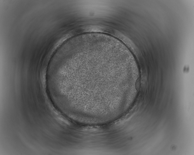 X0000101110386200807241140