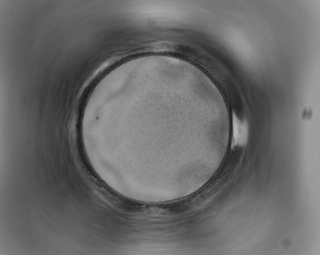 X0000101110387200807241140