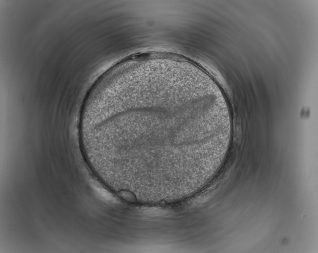 X0000101110389200807241140