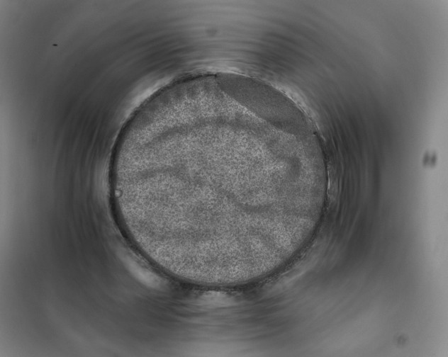 X0000101110390200807241140