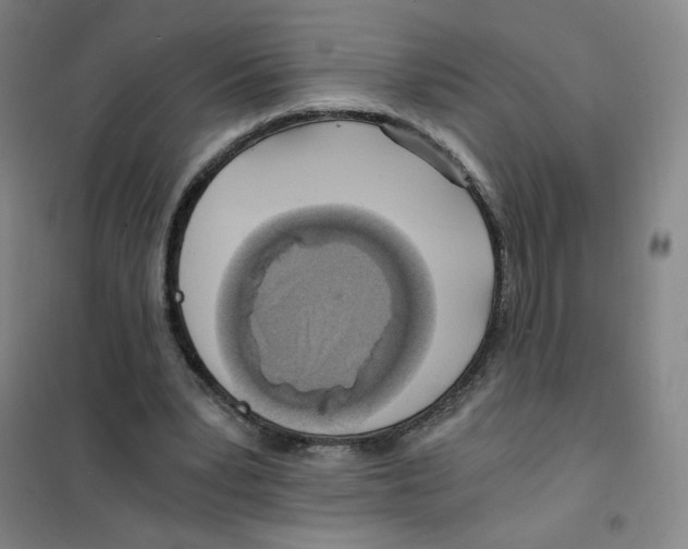 X0000101110391200807241140