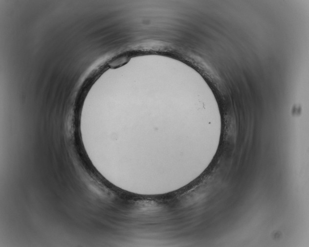 X0000101110392200807241140