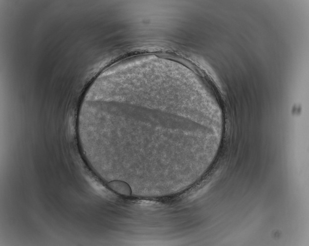 X0000101110393200807241140