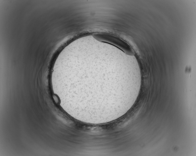 X0000101110395200807241140