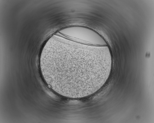 X0000101110397200807241140