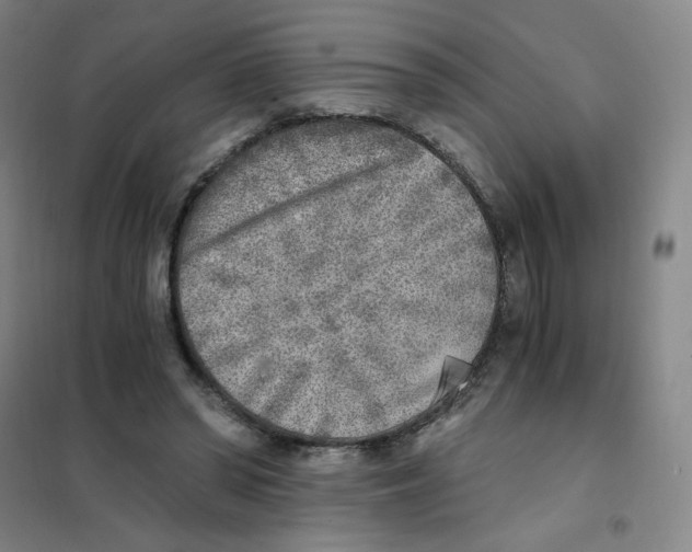 X0000101110398200807241140