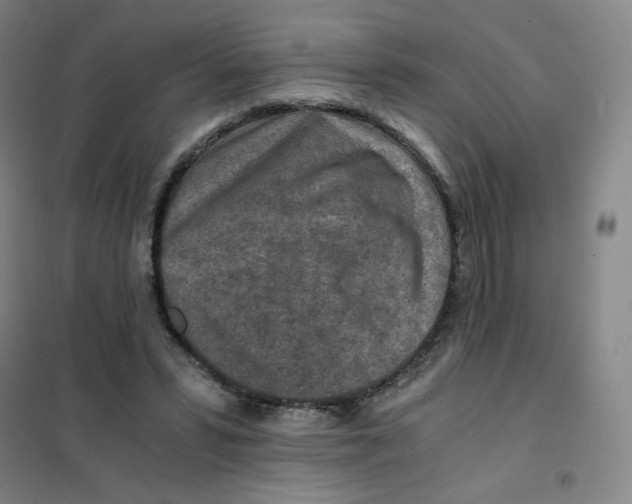 X0000101110399200807241140