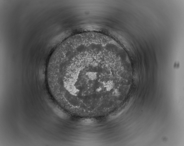 X0000101110402200807241140