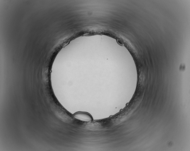 X0000101110403200807241140