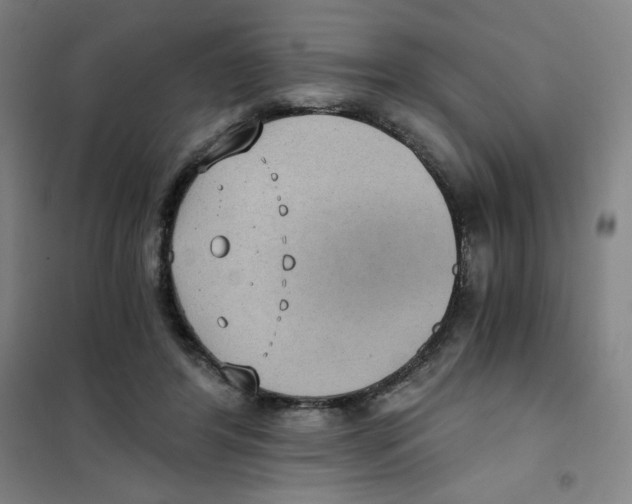 X0000101110404200807241140