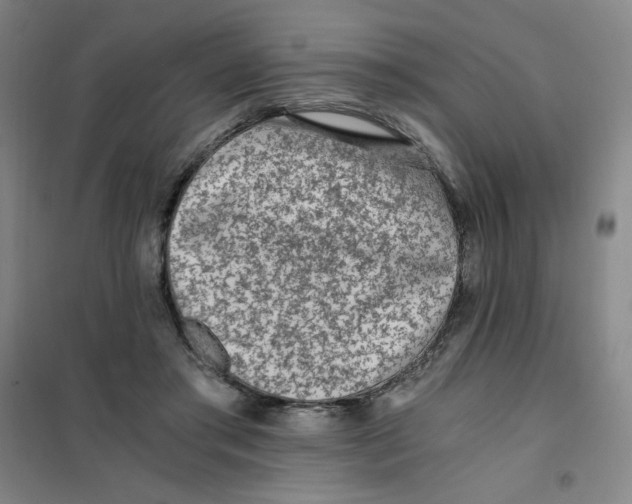 X0000101110405200807241140