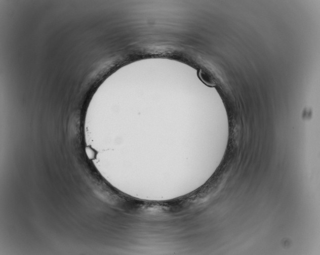 X0000101110407200807241140