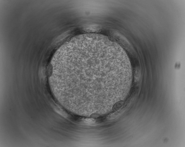 X0000101110409200807241140